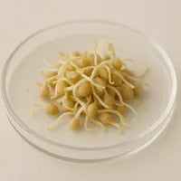 Pea sprouts